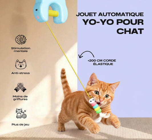 Jouet Mural pour Chat